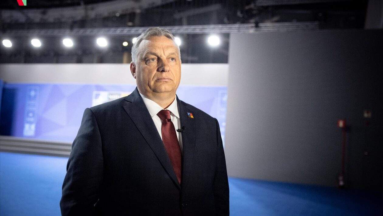 290999108 583136476517288 4579726923215918487 n