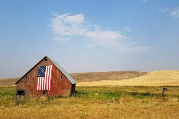 specphotops c07Bw2XG7oE unsplash