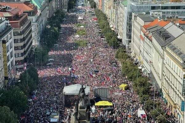 305019651 5701204506571136 1031013984397331016 n