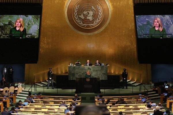 306807690 643717457111627 3401457433783810442 n