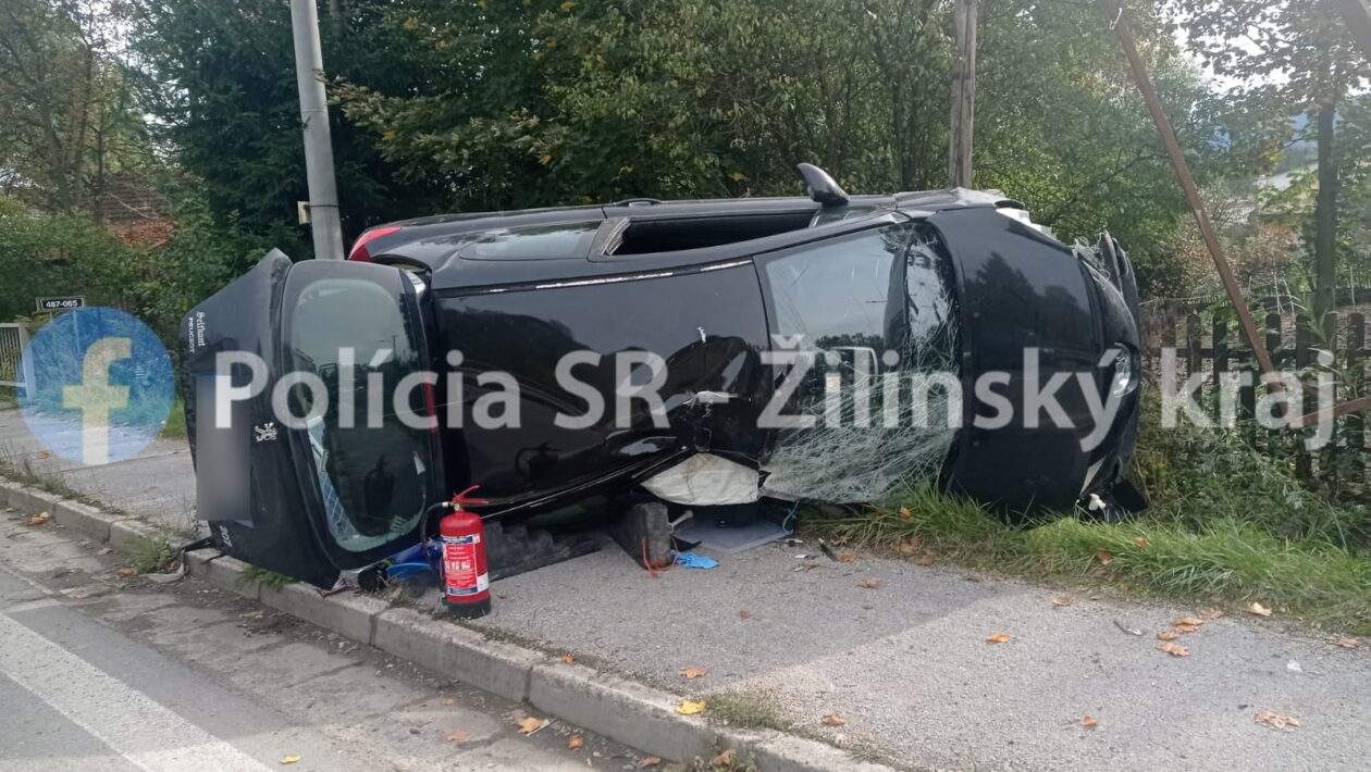 310765066 1331124181051308 58138003755195064 n