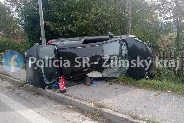 310765066 1331124181051308 58138003755195064 n