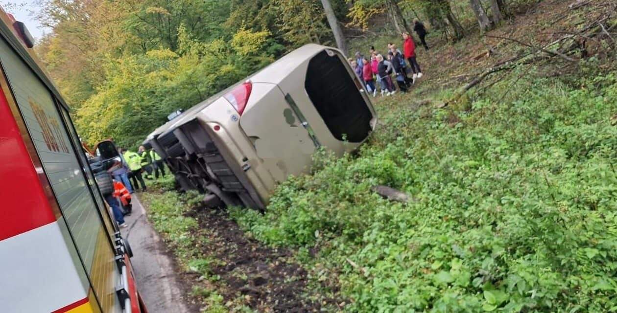 311156962 4900696806712164 3881263512422070678 n