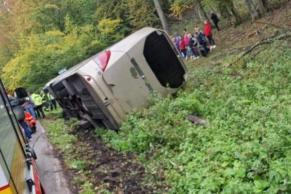 311156962 4900696806712164 3881263512422070678 n