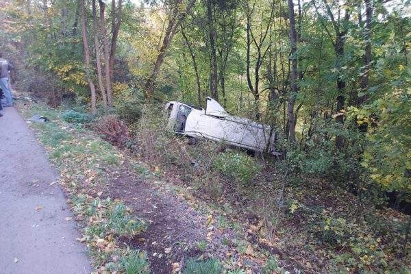 311514572 6006034366093402 8194226335527083457 n 1