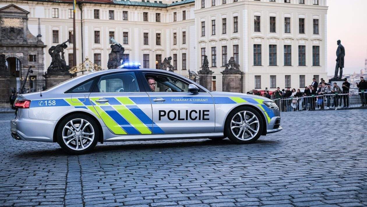 311526296 5955923767791652 2922349318695446346 n