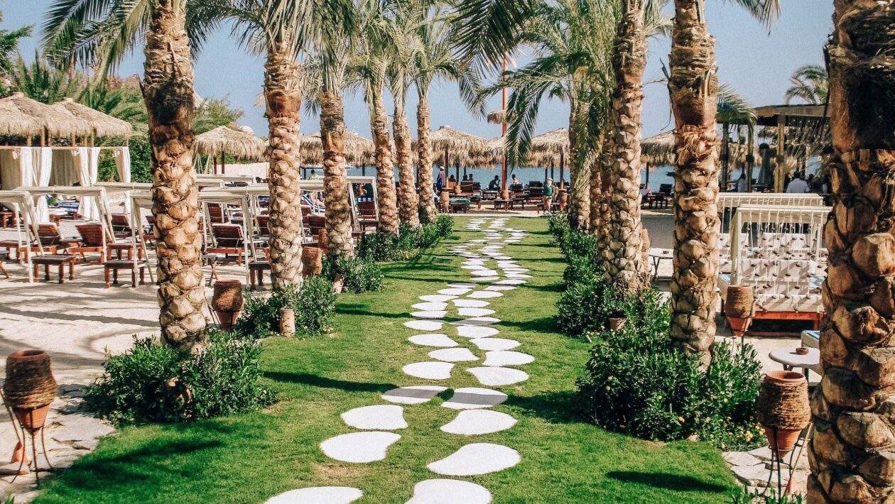 vegan oazis arn3YKR91uo unsplash