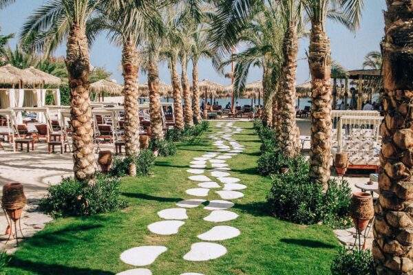 vegan oazis arn3YKR91uo unsplash