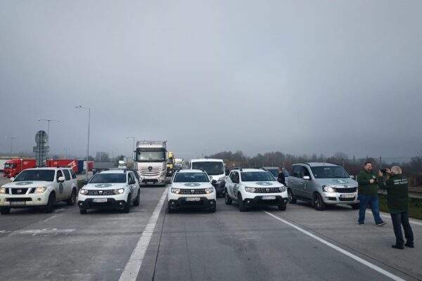 313423549 448901780693321 7383410263710654622 n