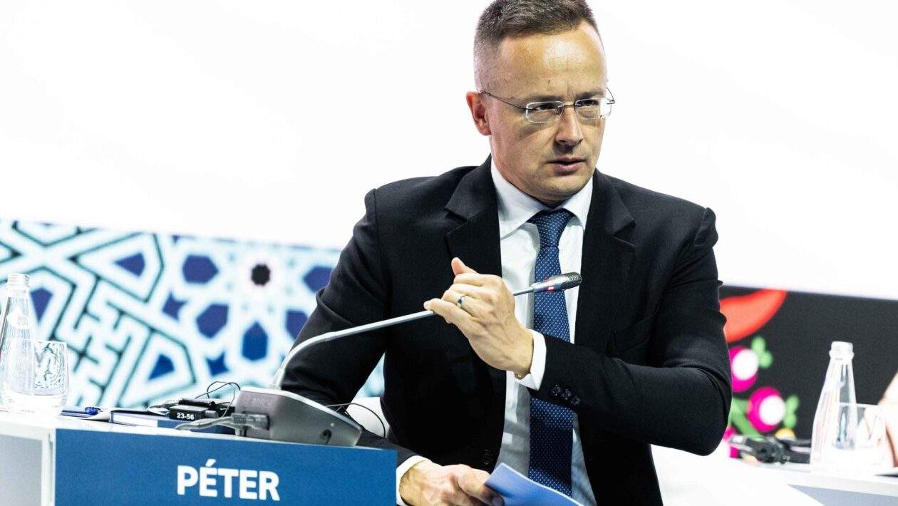 315859484 668387844754512 734444850151450178 n