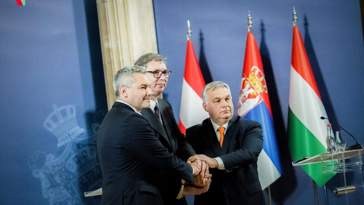 315969238 681839503313651 91954238917224187 n