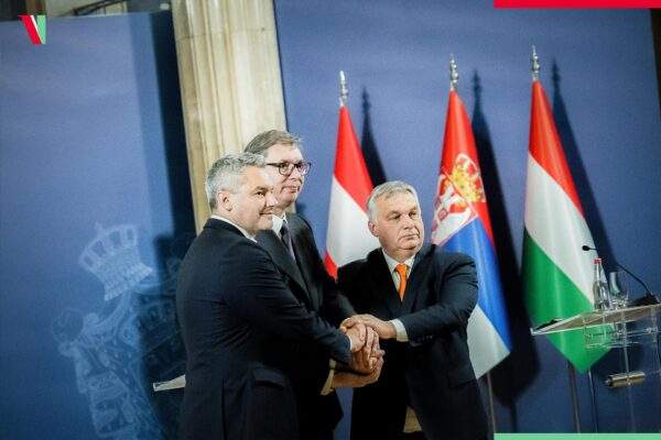 315969238 681839503313651 91954238917224187 n