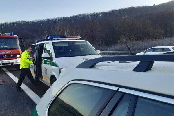 324737525 1182653499024365 4926286297550162450 n