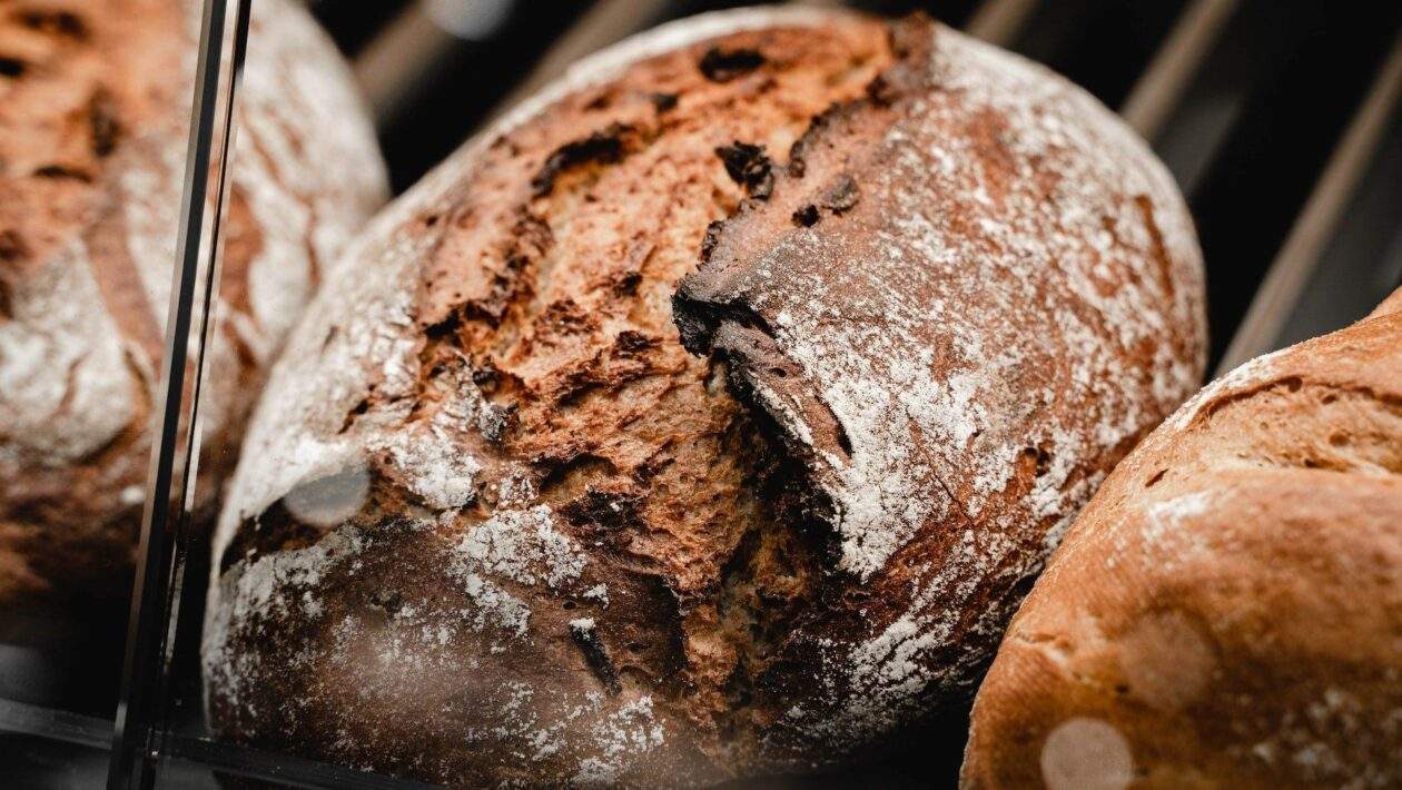 paul steuber uVxAroQfGPM unsplash