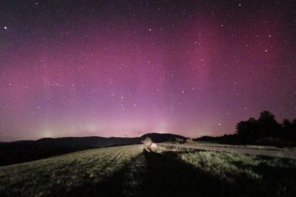 343152003 226778023374194 7131509278748671555 n