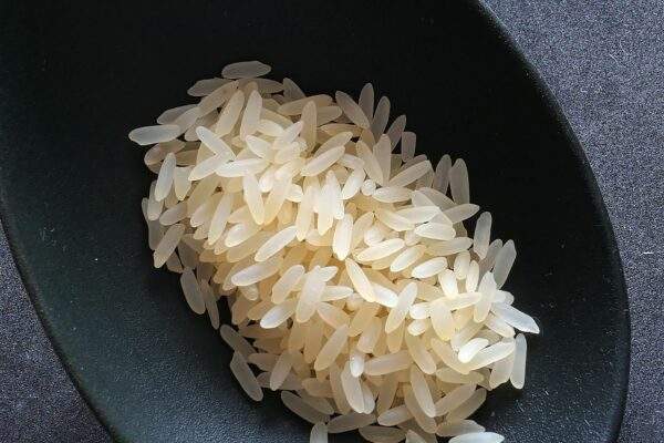 rice gec66103f6 1920