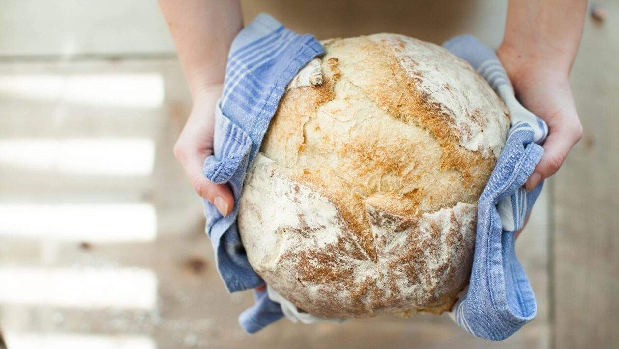 bread 821503 1920