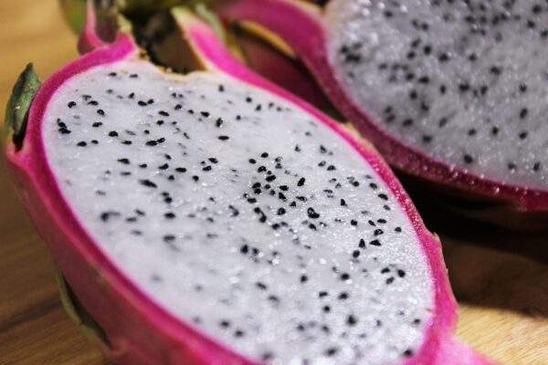 dragon fruit 1532127 1920