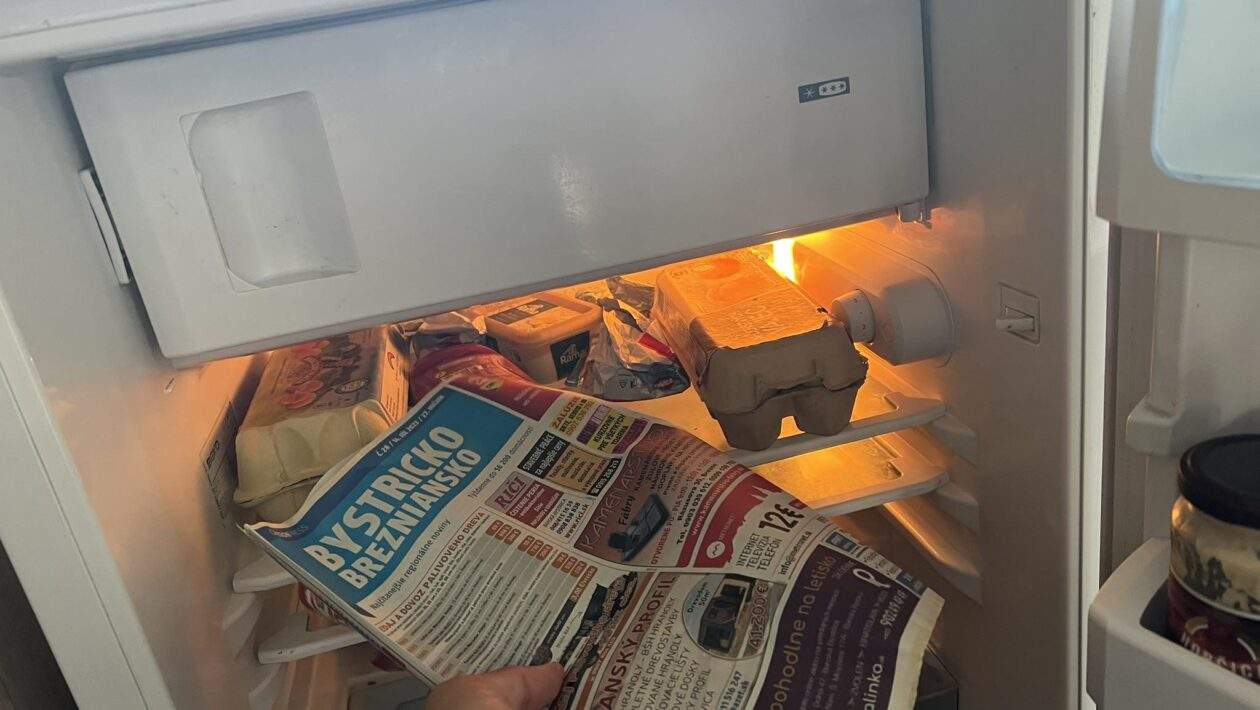 363950398 1374186683447410 2002256048078817174 n