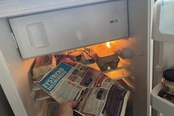 363950398 1374186683447410 2002256048078817174 n