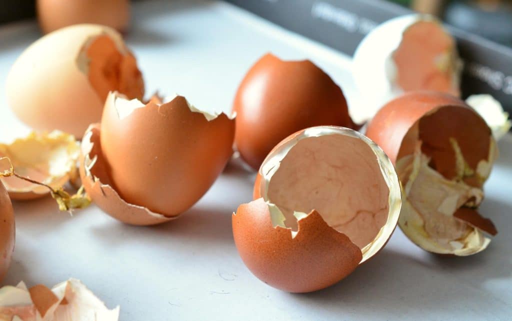 egg shells 706502 1920