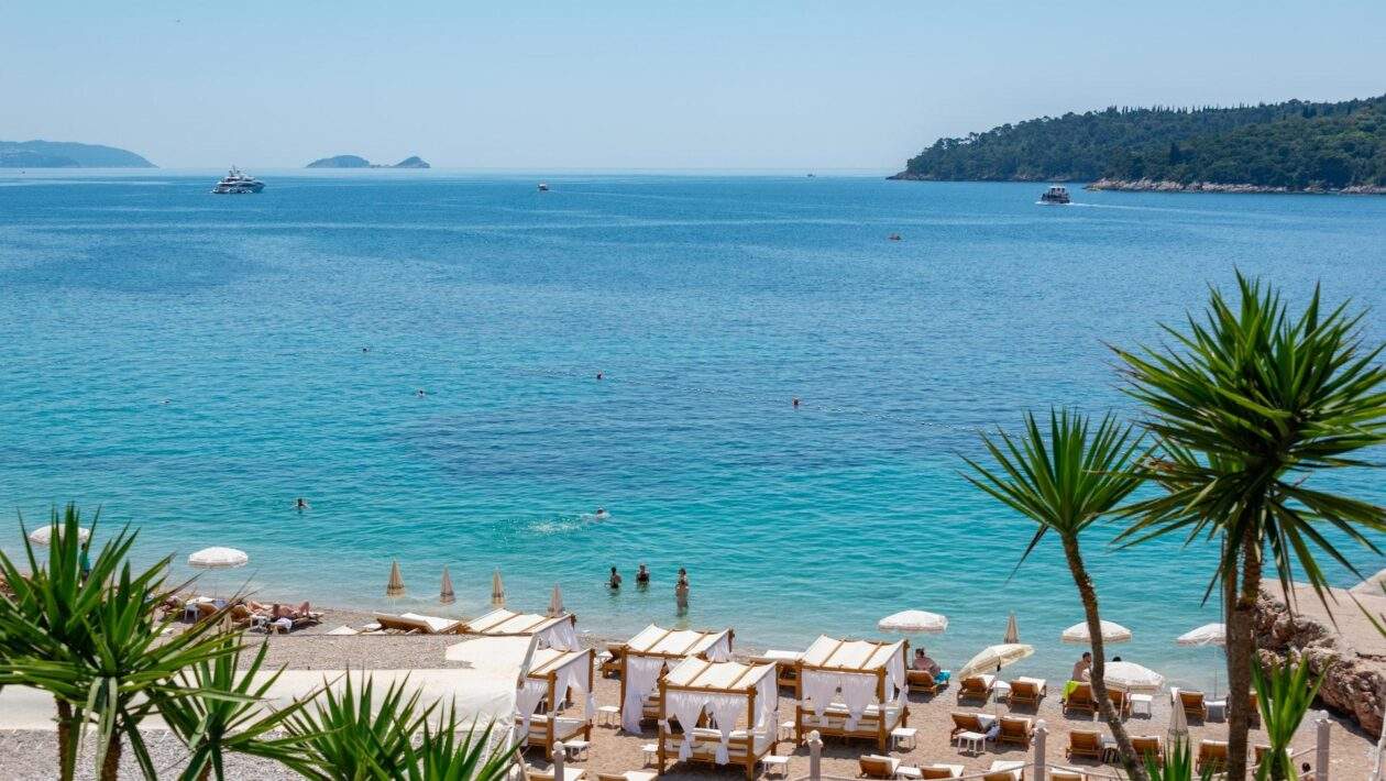 pexels diego f parra 15564129