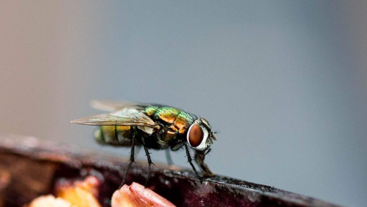 pexels emily rose 3719882