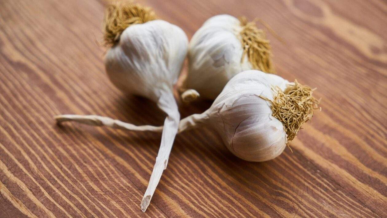 pexels engin akyurt 1460862