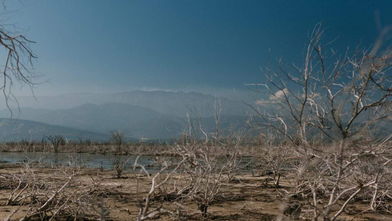 pexels julia volk 5273095