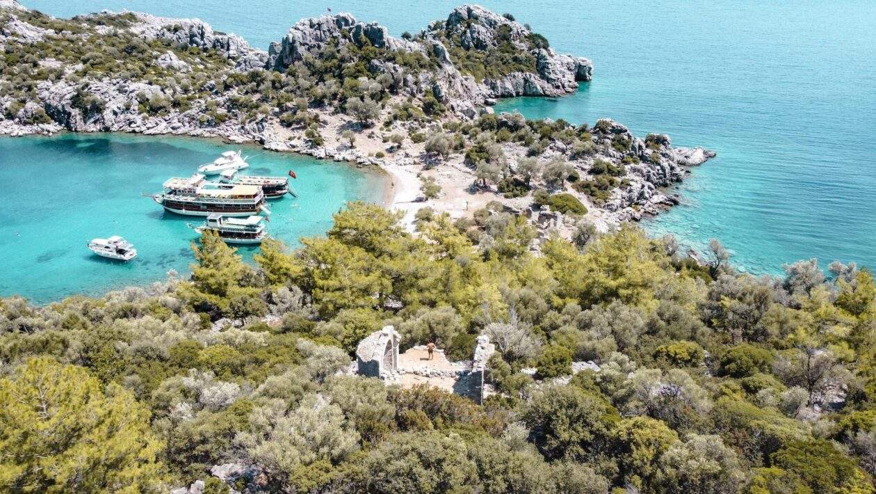 pexels simge isik karaca 8003686