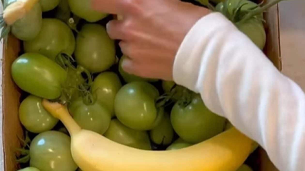 banan paradajky