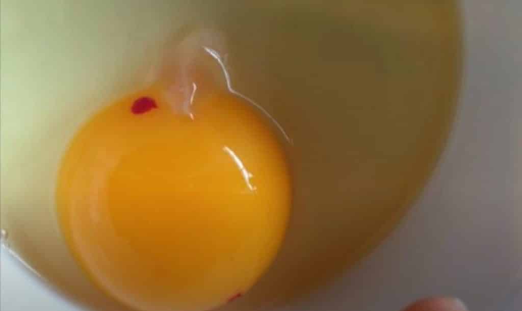 cervena skvrna vajce