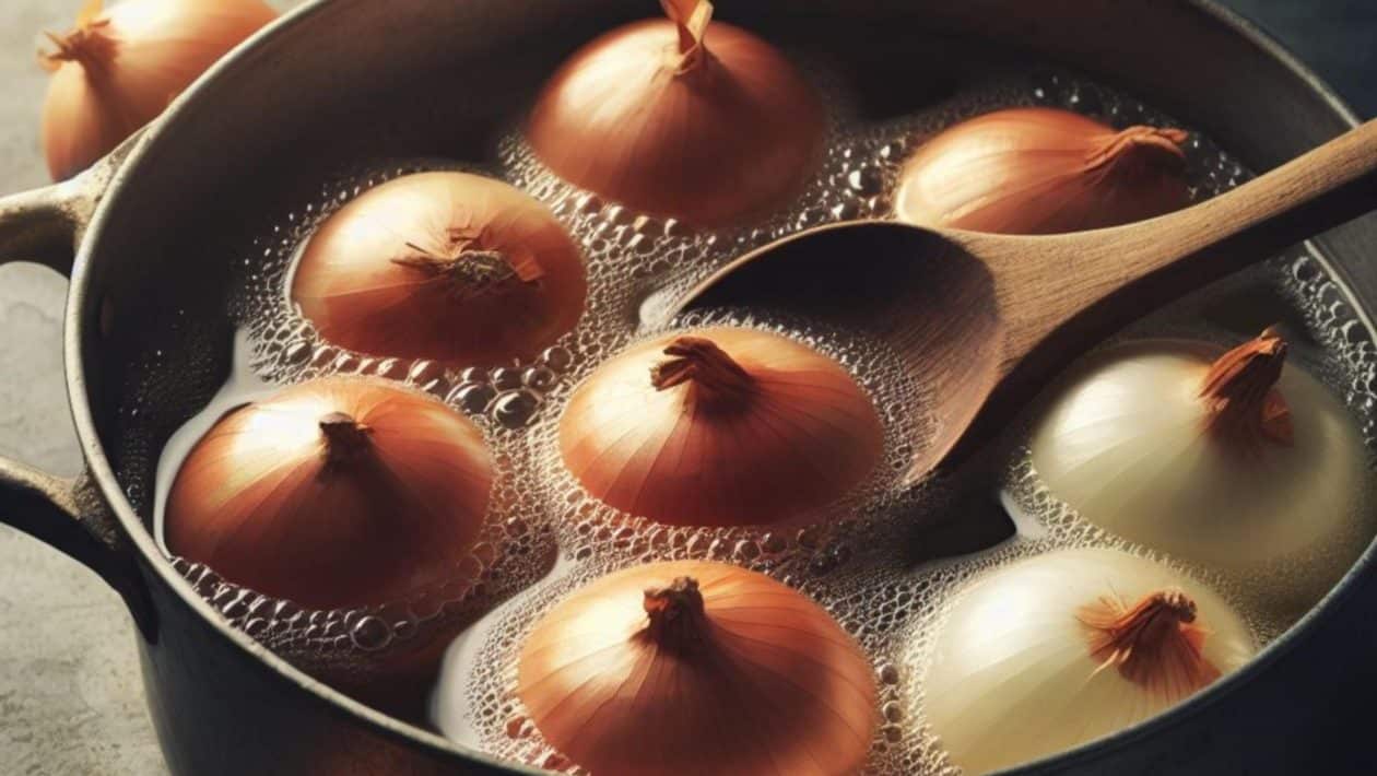 cibula 1
