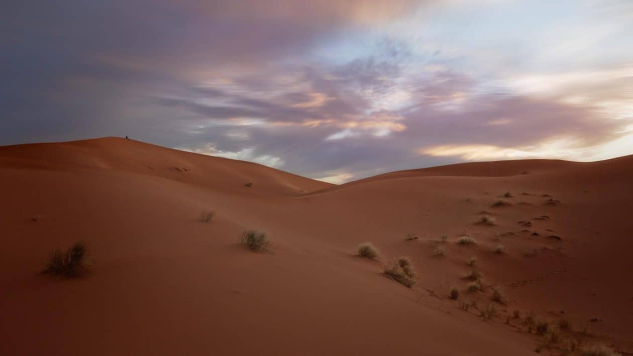 sahara
