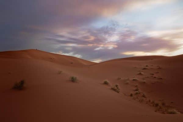 sahara