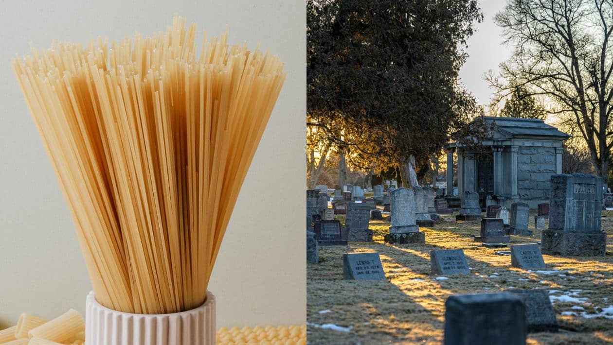 spagety cintorin