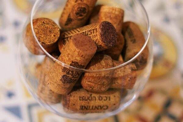 zatka vino korok pavuky