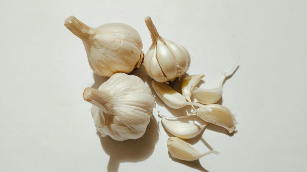 cesnak