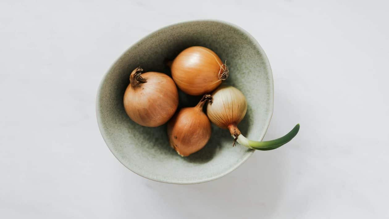 cibula