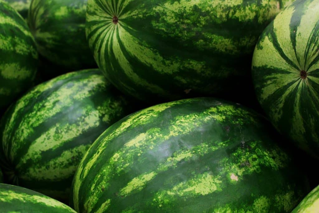 melon