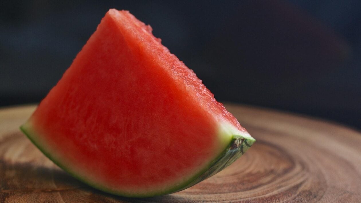 melon 2
