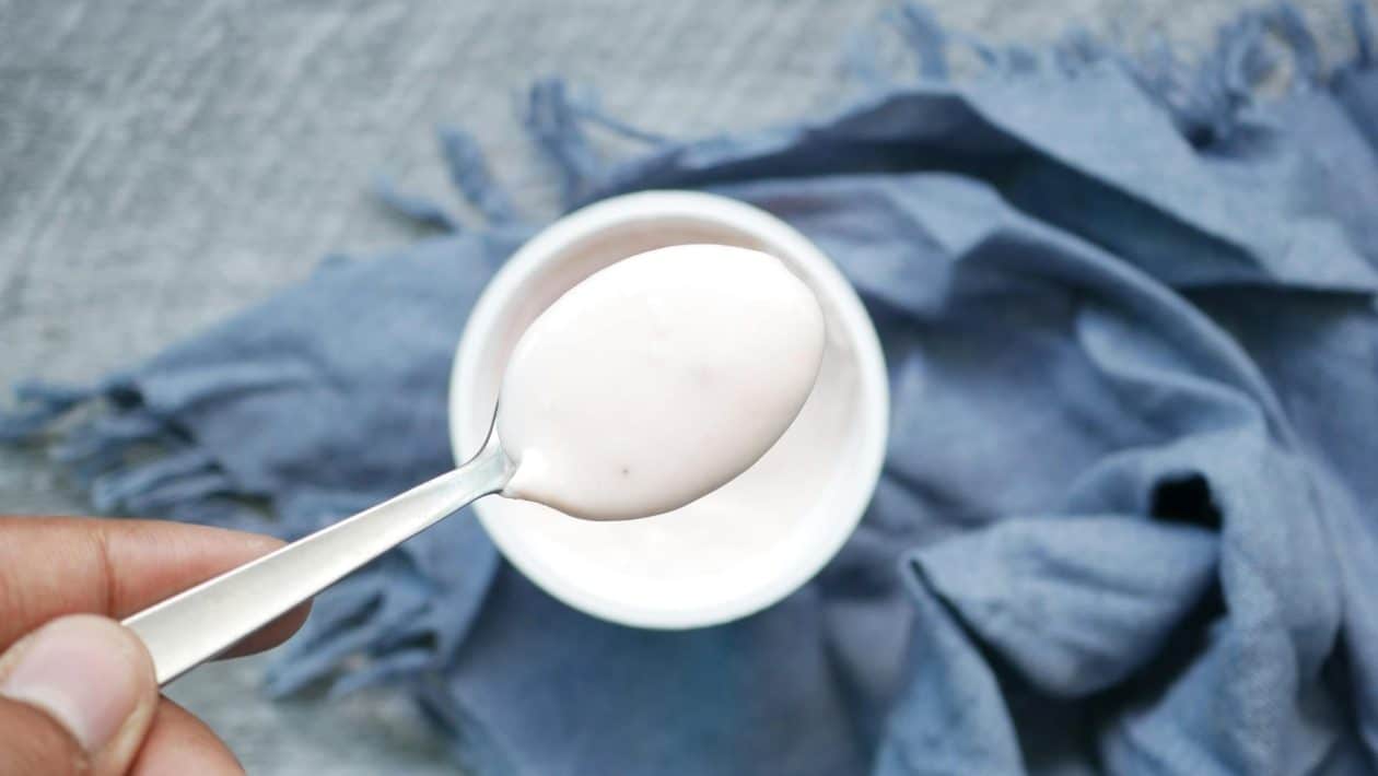 jogurt