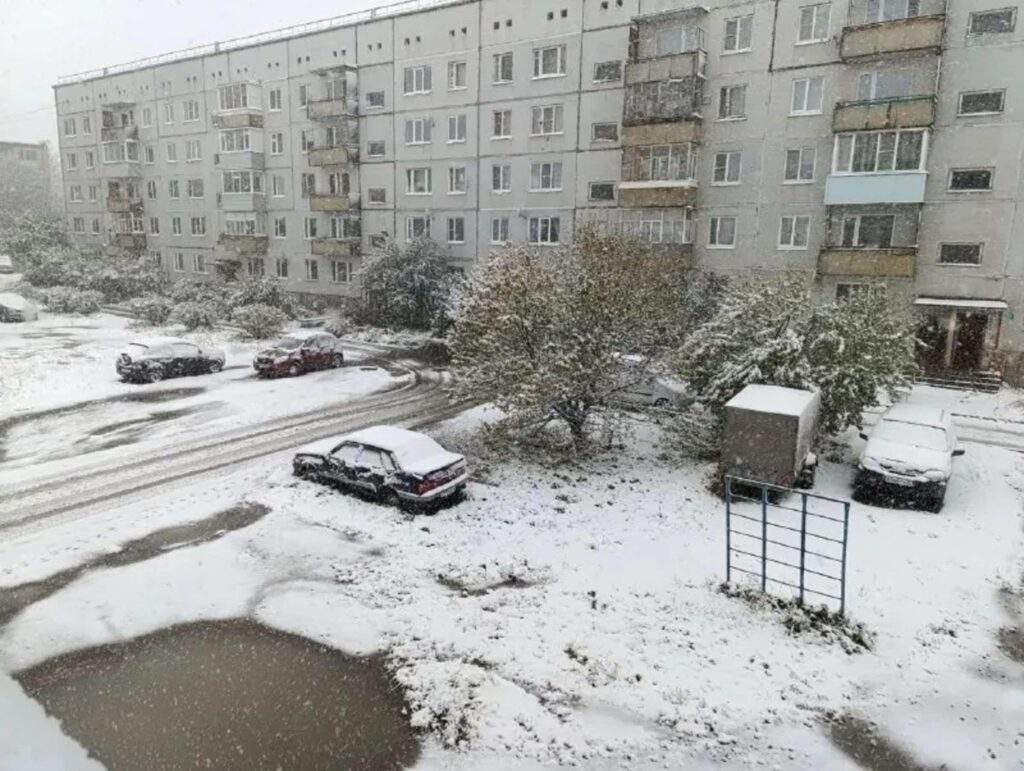 Rozumní ľudia si začínajú dávať strúčik cesnaku na noc pod vankúš • Plénum