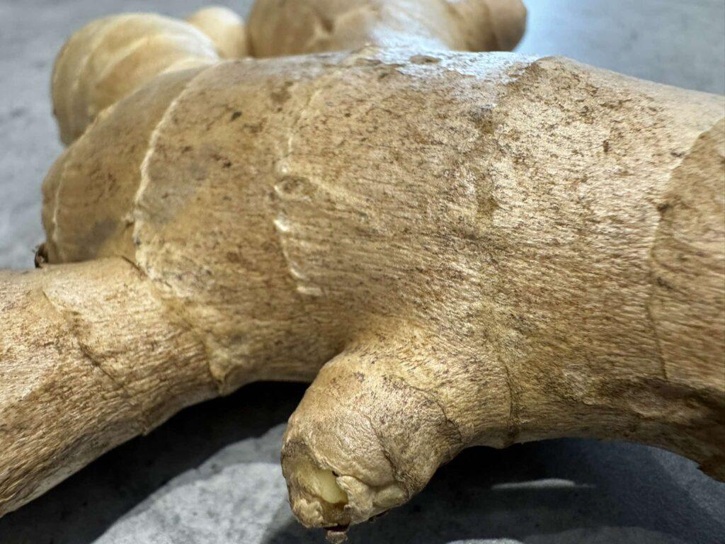 zazvor 1