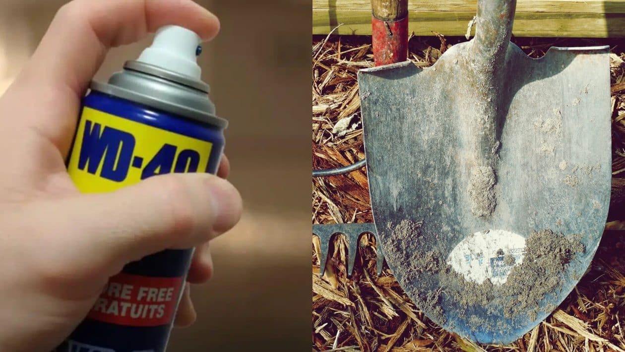 wd 40 lopata