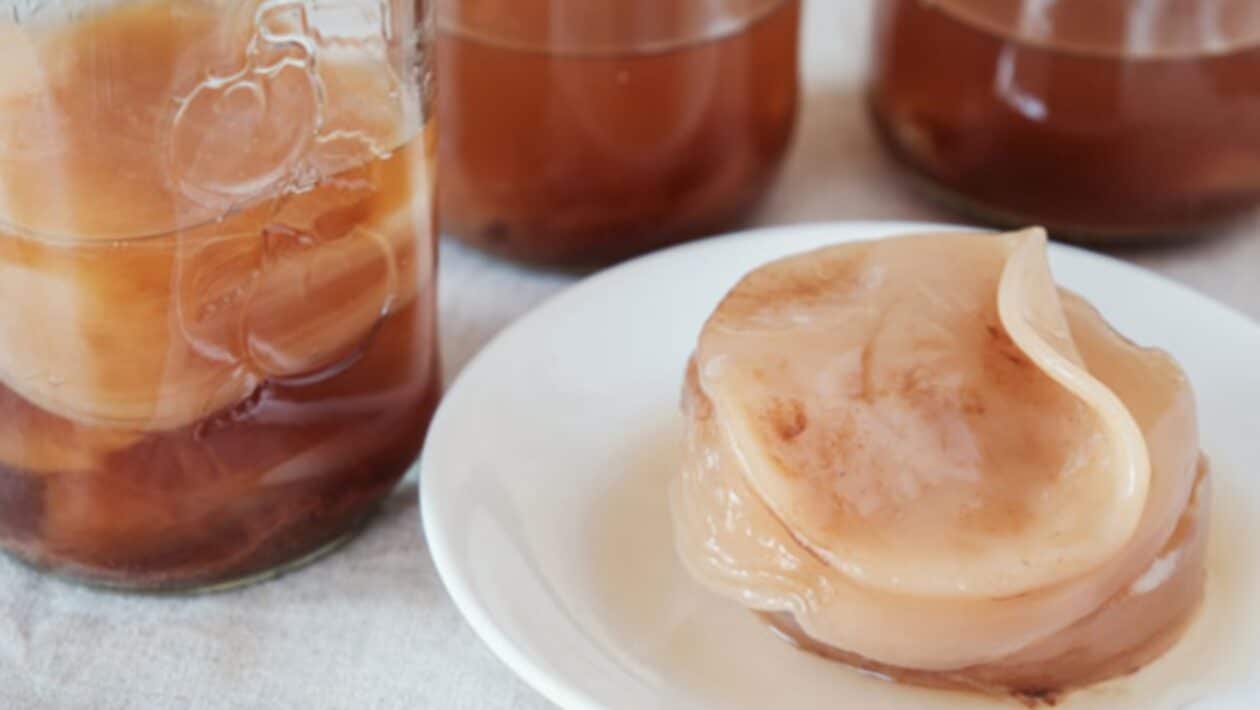 kombucha