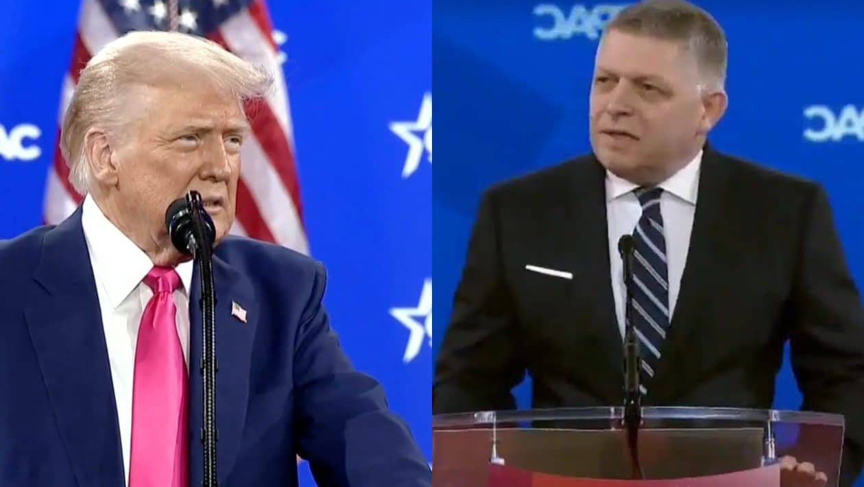 fico trump