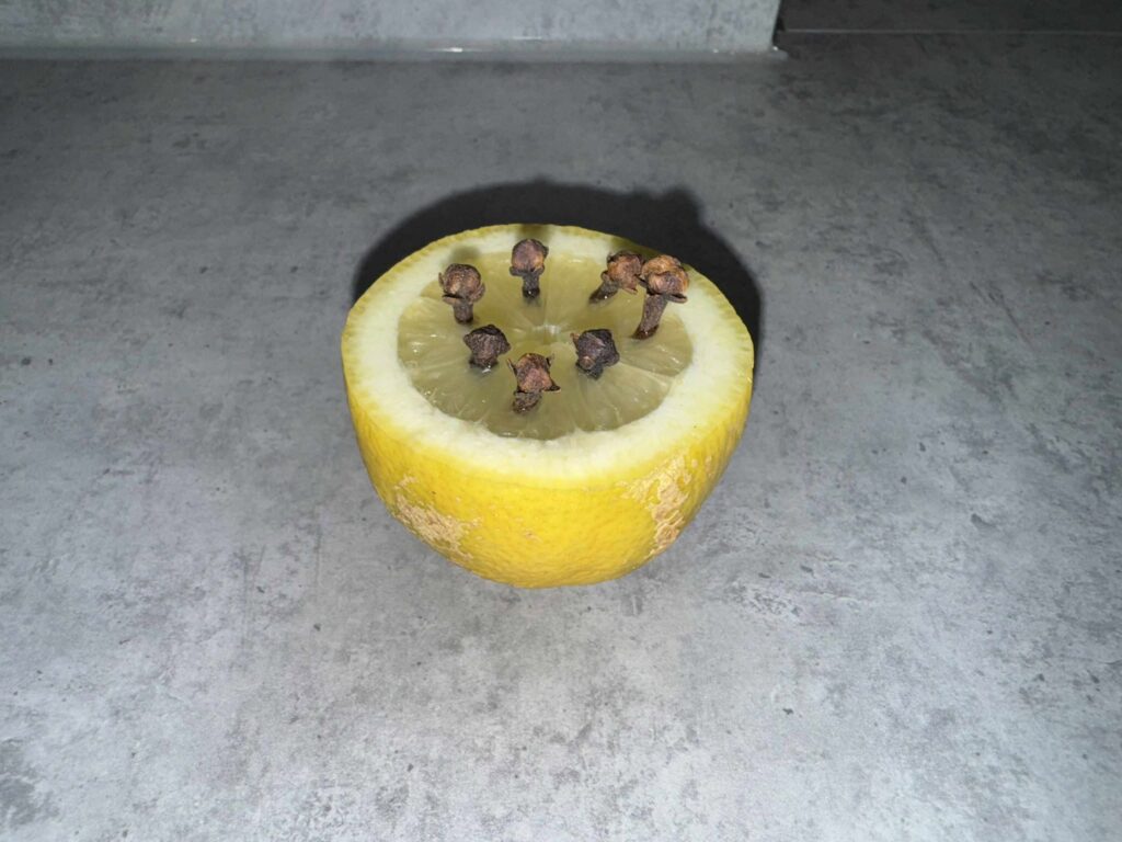 citron klinceky
