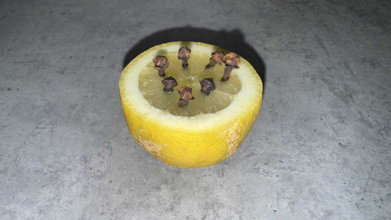 citron klinceky