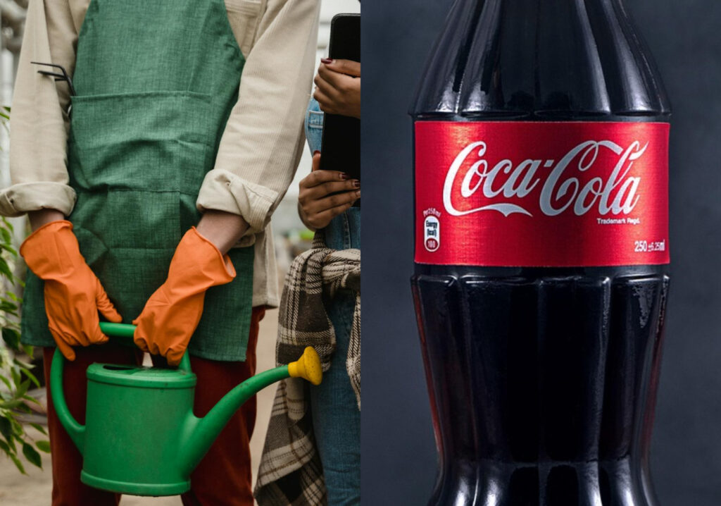 coca cola zahrada vosky